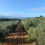 Tenute Librandi Agriturismo Resort Vaccarizzo Albanese