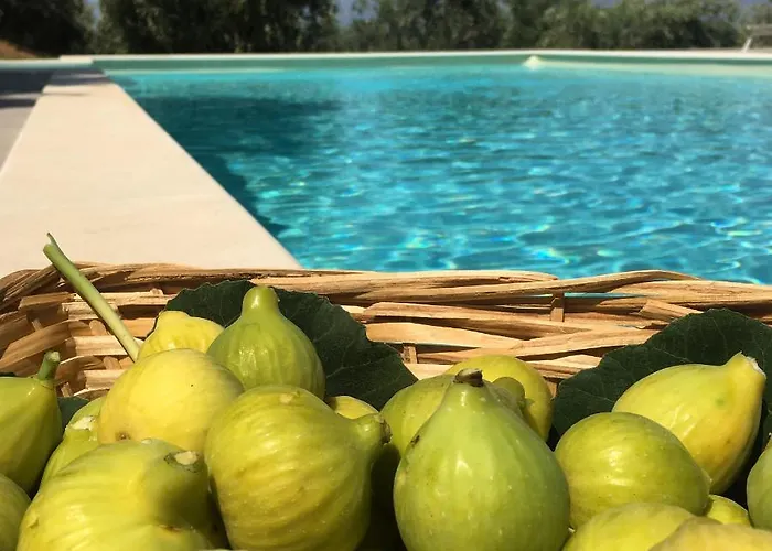 Tenute Librandi Agriturismo 度假村 Vaccarizzo Albanese