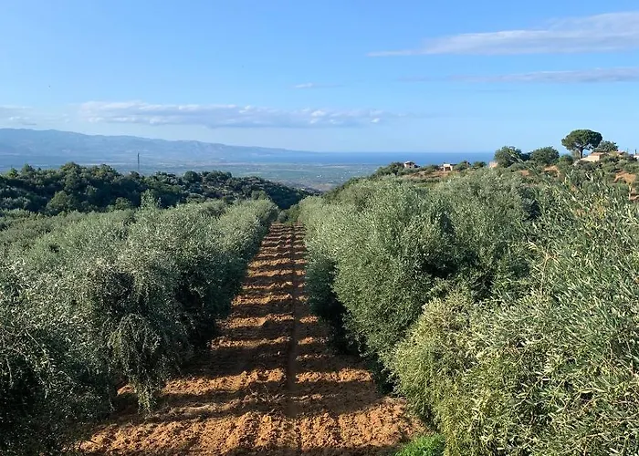Tenute Librandi Agriturismo 度假村 Vaccarizzo Albanese